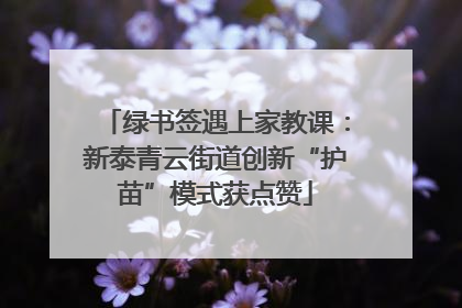 绿书签遇上家教课：新泰青云街道创新“护苗”模式获点赞